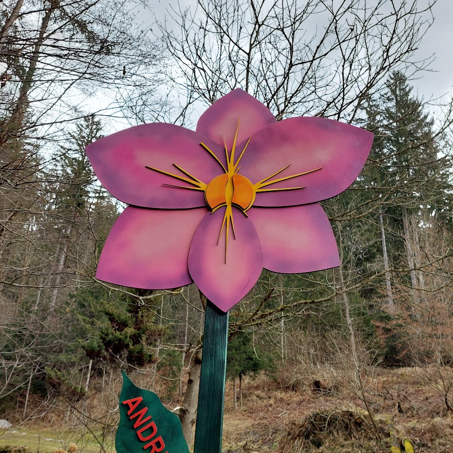 503938573_122103303542895932_4180176777381627703_n