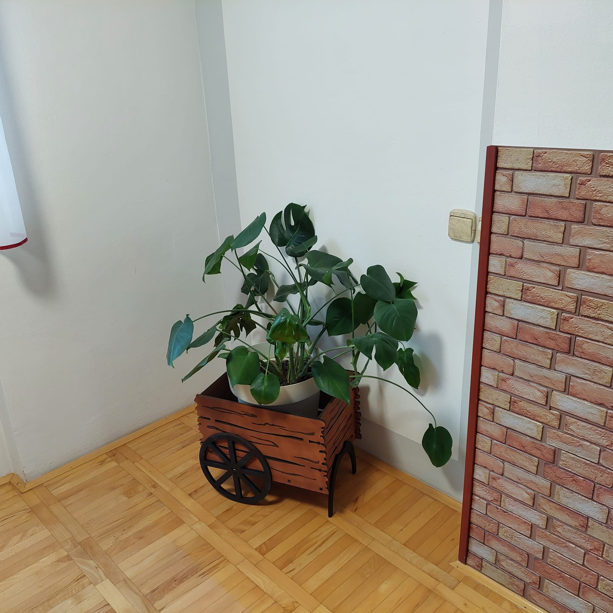 504487544_122103724508895932_1199654398775997289_n